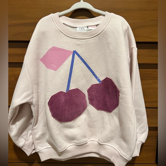 Zara Other - NWOT Zara Pink Cherry Sweatshirt